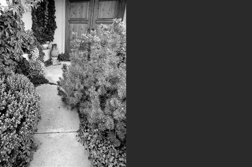 Entrance to the Desert Willow Albuquerque office: a garden path leading to wooden double doors